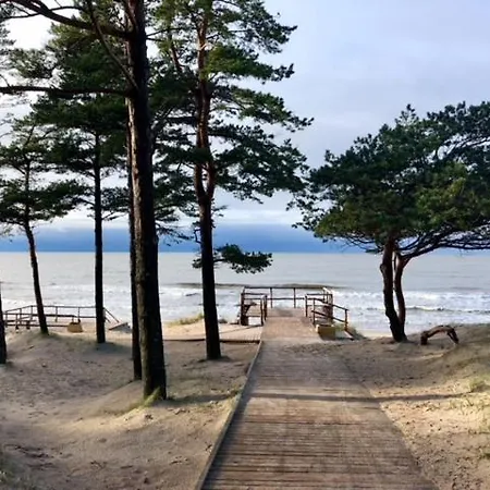 Elegancija * Palanga