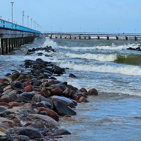 Elegancija * Palanga