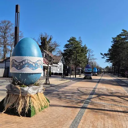 Elegancija פלאנגה