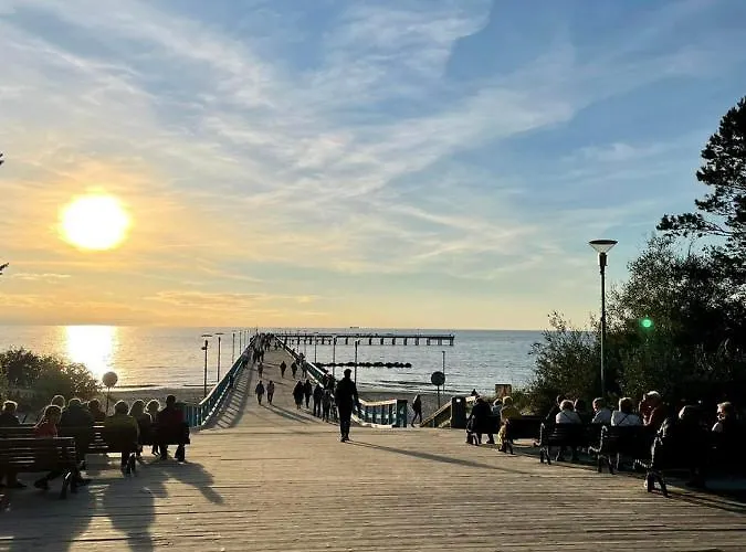 Elegancija פלאנגה