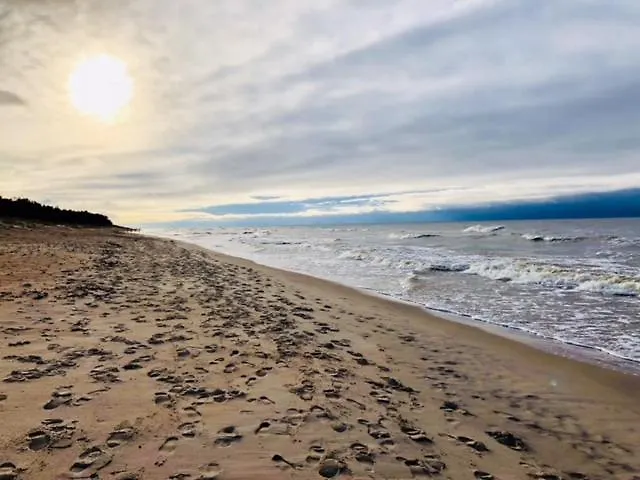 Elegancija פלאנגה