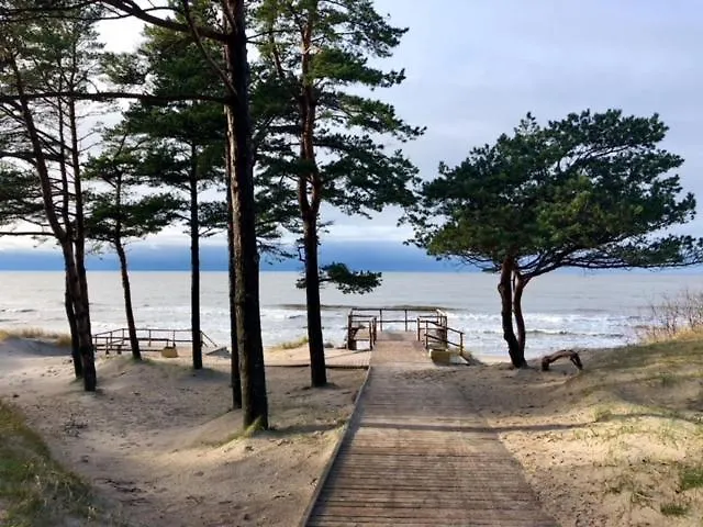 Elegancija * פלאנגה