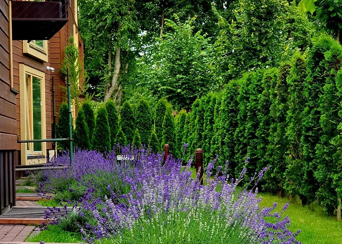 Apartament Elegancija Połąga