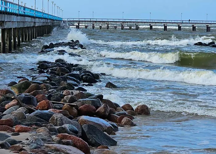 Elegancija * Połąga