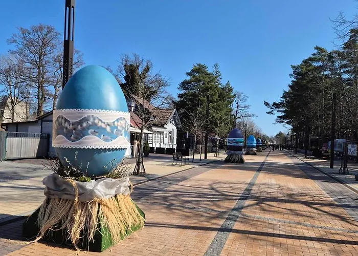 Elegancija פלאנגה